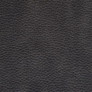 Darkgrey